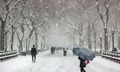 اعلام ‌وضعیت "اضطراری" در شهرستان اردل ‌در پی بارش سنگین برف