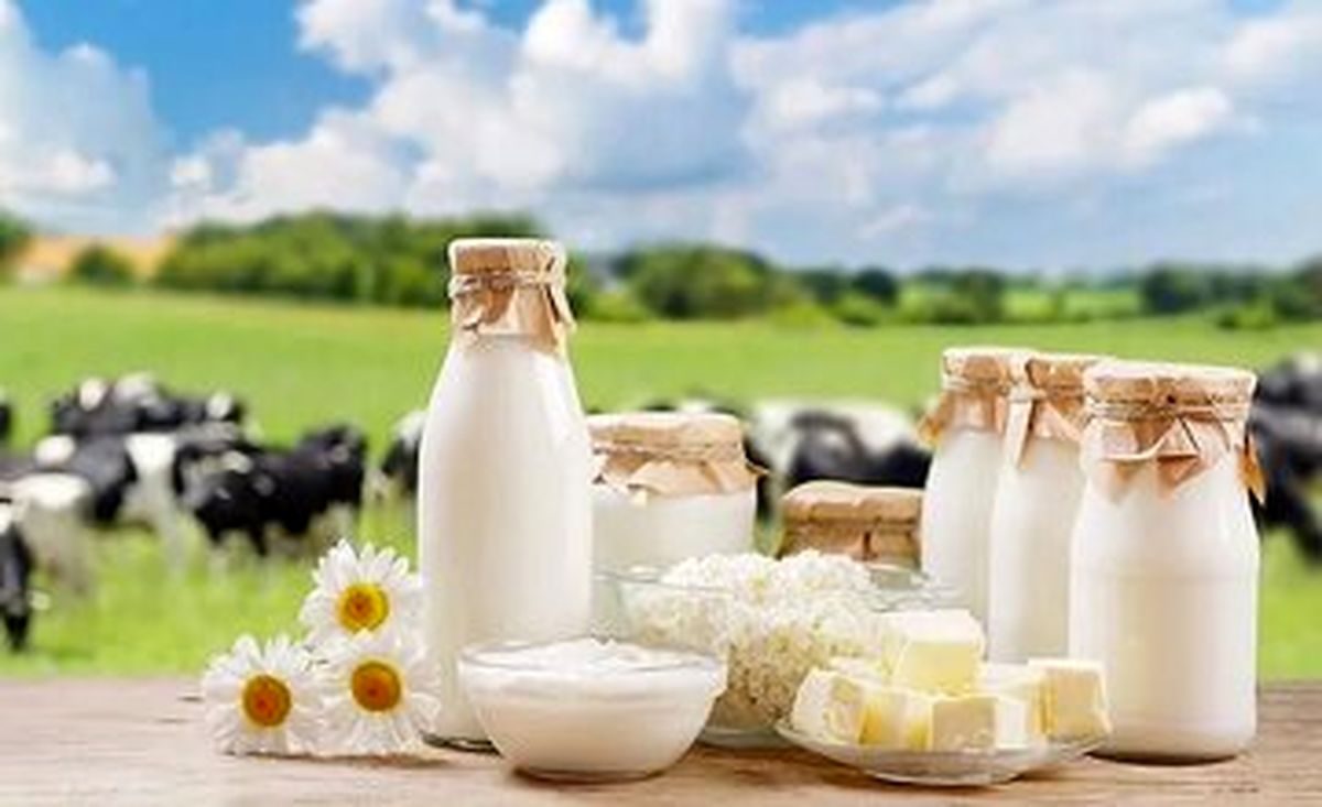 شیر چاق میکند یا لاغر؟