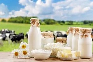شیر چاق میکند یا لاغر؟