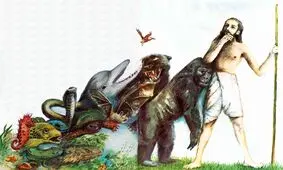 ۵۰۰ میلیون سال پیش؛ تکامل حیات از آب به خشکی با تغییرات ژنتیکی شگفت‌انگیز 