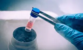 خرید و فروش «تخمک» تا ۲۰ میلیون تومان!