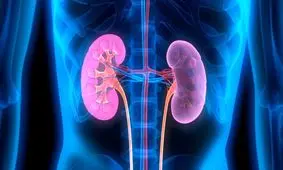 بهترین راه برای جلوگیری از سنگ کلیه چیست؟