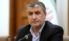 بی‌عملی آژانس به معنای پذیرش قانون جنگل در عرصه جهانی است
