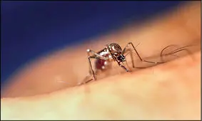 ویروس‌هایی که بوی بدن انسان را تغییر می‌دهند