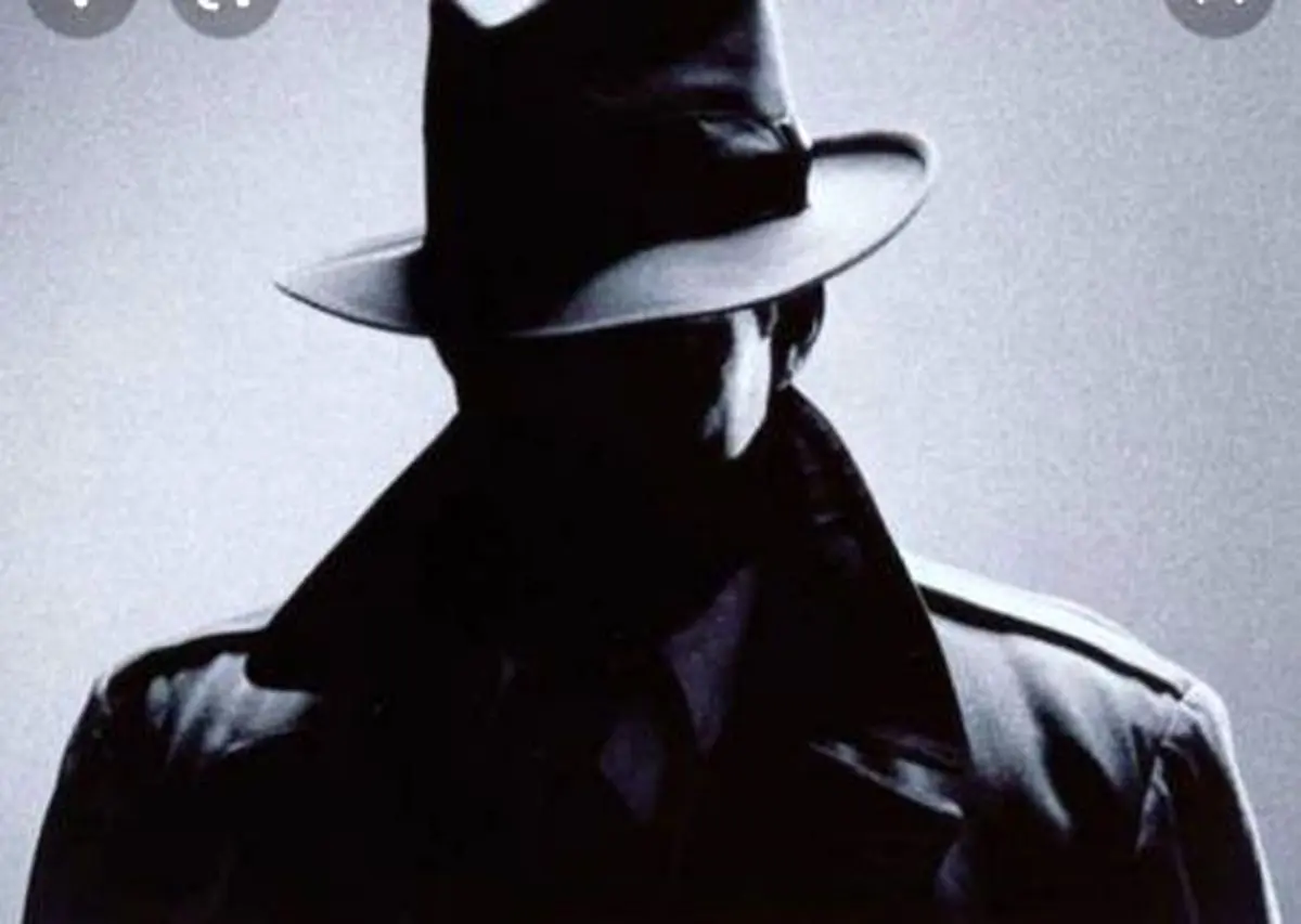 کارآگاه خصوصی های اینستاگرامی مورد تأیید پلیس نیستند