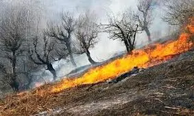 آتش‌سوزی در کانون‌های شرق و شمال جنگل الیت مهار شد/ ویدئو 