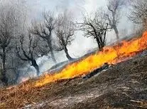 آتش‌سوزی در کانون‌های شرق و شمال جنگل الیت مهار شد/ ویدئو 