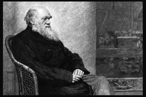 ۷ حقیقت جالب درباره «داروین» که نمی‌دانستید!