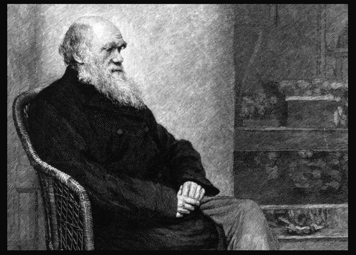 ۷ حقیقت جالب درباره «داروین» که نمی‌دانستید!