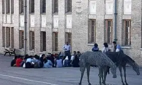 رفتار عجیب مدیریت و نزاع بر سر مقنعه در دانشگاه هنر پردیس باغ ملی/ فضای امنیتی حاکم بر اطراف دانشگاه