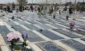 معاون شهردار تهران: فروش میلیاردی قبر نداریم/ ویدئو