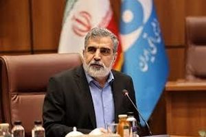 کمالوندی: ایران و روسیه درباره ساخت نیروگاههای بزرگتر از بوشهر مذاکره کردند