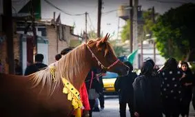 سی و ششمین سال برگزاری شبیه‌خوانی حسینی در روستای سید محمد تفاخ الهدامه