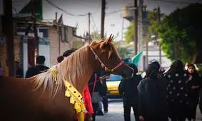 سی و ششمین سال برگزاری شبیه‌خوانی حسینی در روستای سید محمد تفاخ الهدامه