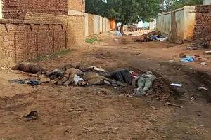 پاکسازی نژادی در سودان؛ 15 هزار نفر تنها در یک شهر کشته شدند

