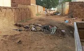 پاکسازی نژادی در سودان؛ 15 هزار نفر تنها در یک شهر کشته شدند

