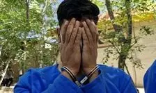 سارق غرفه‌های نمایشگاه بین المللی دستگیر شد

