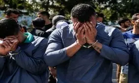 دستگیری اراذل و اوباشی که از ترسشان پیش گوسفند‌ها زندگی می‌کردند/ ویدئو