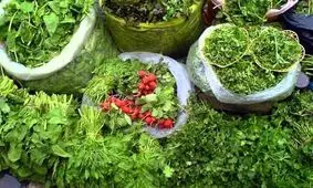 سبزی خوردن کیلو ۱۵۵ هزار تومانی!