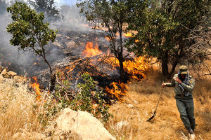 آتش سوزی و تخریب یک منزل روستایی در «پیچاب» باشت