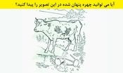 آزمون بینایی: آیا می توانید در 8 ثانیه چهره مخفی شده در این تصویر سیاه و سفید را پیدا کنید؟