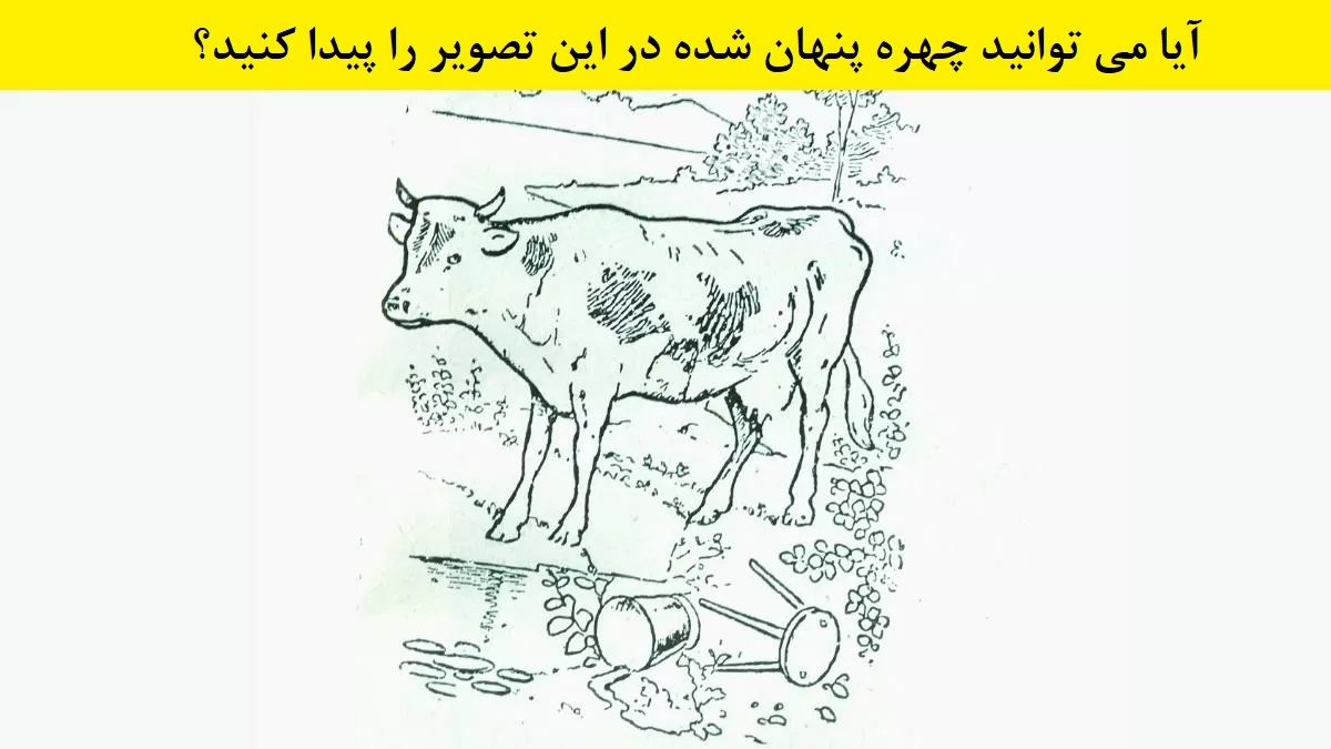 آزمون بینایی: آیا می توانید در 8 ثانیه چهره مخفی شده در این تصویر سیاه و سفید را پیدا کنید؟