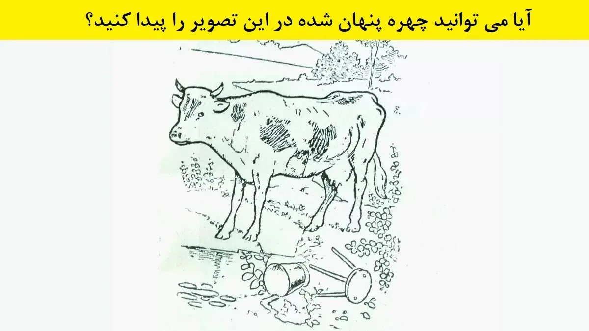 آزمون بینایی: آیا می توانید در 8 ثانیه چهره مخفی شده در این تصویر سیاه و سفید را پیدا کنید؟