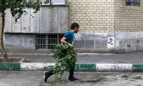 هشدار نسبت به وزش باد شدید در تهران

