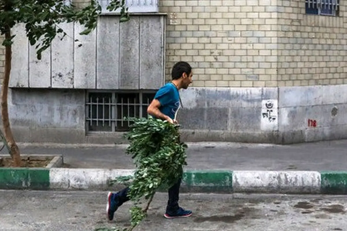 هشدار نسبت به وزش باد شدید در تهران

