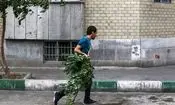 هشدار نسبت به وزش باد شدید در تهران

