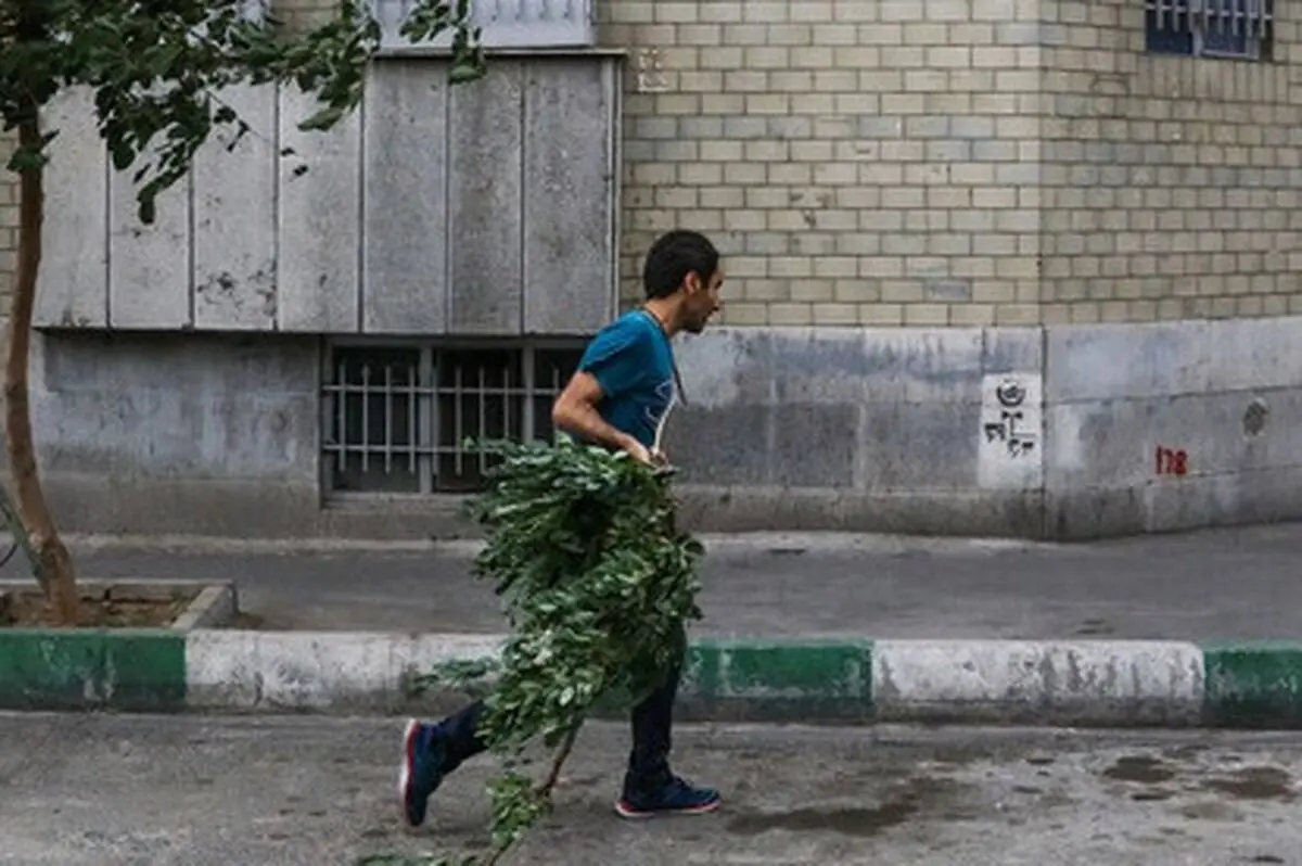 هشدار نسبت به وزش باد شدید در تهران

