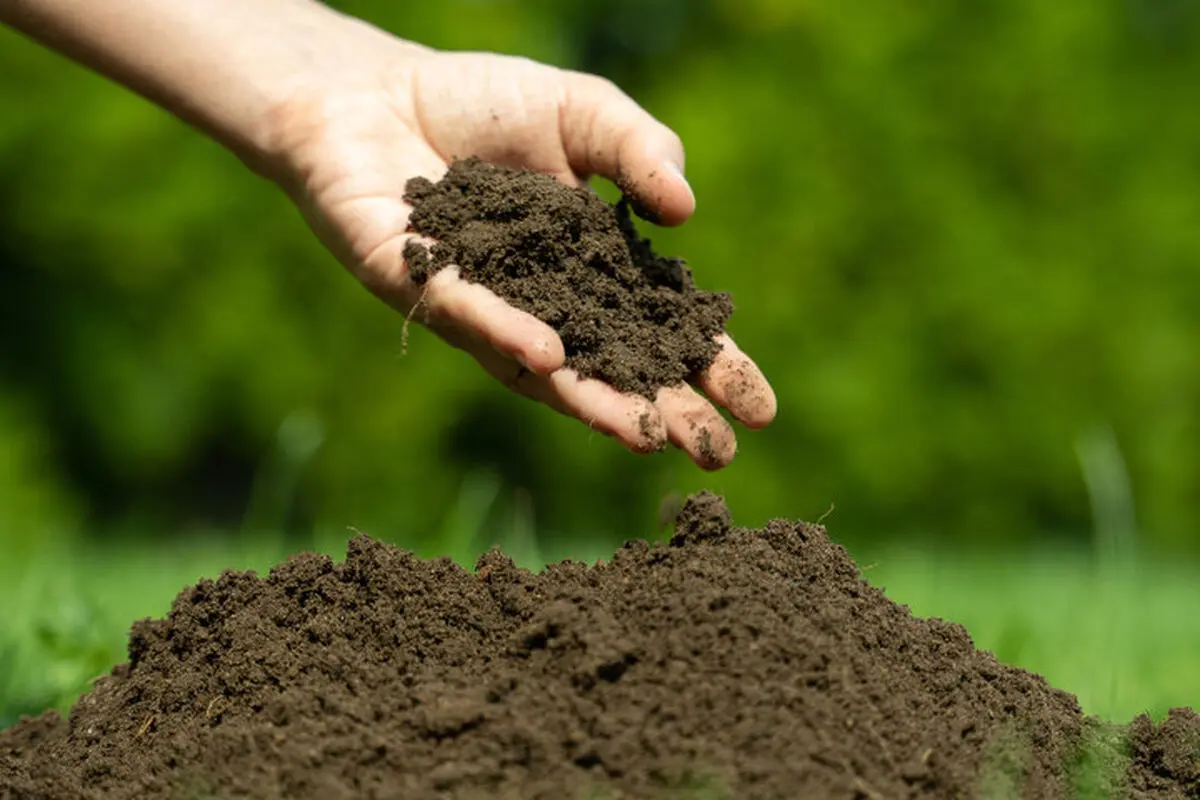 چگونه میکروب‌های خاک ممکن است آینده سیاره ما را کنترل کنند؟