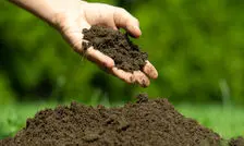 چگونه میکروب‌های خاک ممکن است آینده سیاره ما را کنترل کنند؟