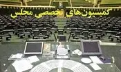 تعیین اعضای هیأت رئیسه کمیسیون‌های تخصصی/ روسا ابقا شدند