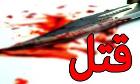 پسر جوان پدرش را کشت و مادرش را با چاقو زخمی کرد