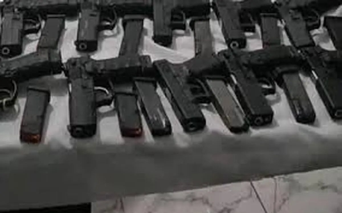 کشف ۸۰۳ قبضه سلاح جنگی و شکاری در کرمان