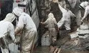 کامیون واژگون شد، دو میلیون زنبور فرار کردند!