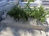 یک رسوایی در مراسم خاکسپاری | جنازه‌ای که جا به جا شد