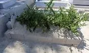 یک رسوایی در مراسم خاکسپاری | جنازه‌ای که جا به جا شد