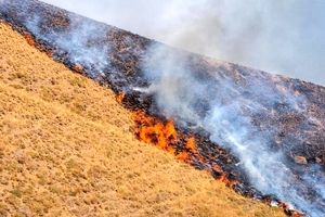  آتش سوزی در منطقه حفاظت شده نئور اردبیل