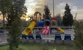 مشاهده روباه در تهران در حال سرسره بازی/ ویدئو