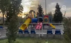 مشاهده روباه در تهران در حال سرسره بازی/ ویدئو