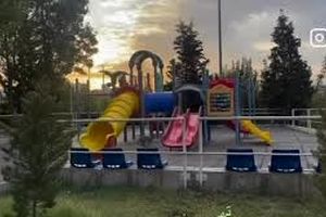 مشاهده روباه در تهران در حال سرسره بازی/ ویدئو
