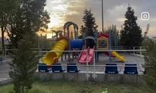 مشاهده روباه در تهران در حال سرسره بازی/ ویدئو