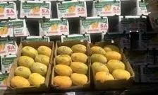 دلیل پلیس برای توقیف بار بزرگ انبه چه بود؟ 