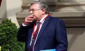 مقام روس در پاسخ کاربر ایرانی: تو مثل خر در گِل گیر کرده‌ای یا من؟!/ عکس

