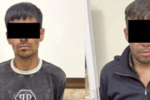 عاملان دستبرد به اموال مجروحان تصادفات دستگیر شدند