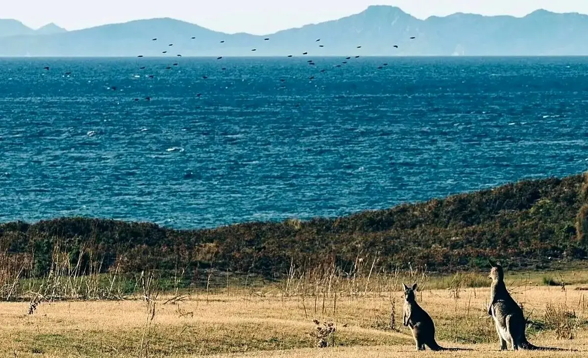 یک وب‌سایت گردشگری ساخته‌شده با هوش مصنوعی گردشگران را به چشمه آب‌گرم خیالی فرستاد