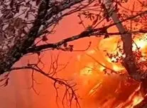 بی توجهی گردشگران و مسافران، جنگل های سوادکوه و گلوگاه را به آتش کشید/ ویدئو