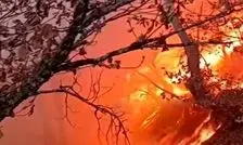 بی توجهی گردشگران و مسافران، جنگل های سوادکوه و گلوگاه را به آتش کشید/ ویدئو